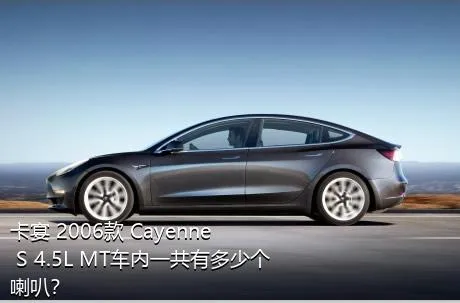 卡宴 2006款 Cayenne S 4.5L MT车内一共有多少个喇叭？