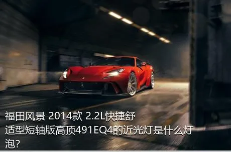 福田风景 2014款 2.2L快捷舒适型短轴版高顶491EQ4的近光灯是什么灯泡？
