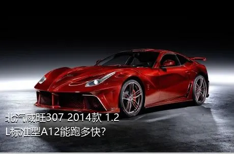 北汽威旺307 2014款 1.2L标准型A12能跑多快？