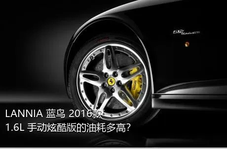 LANNIA 蓝鸟 2016款 1.6L 手动炫酷版的油耗多高？