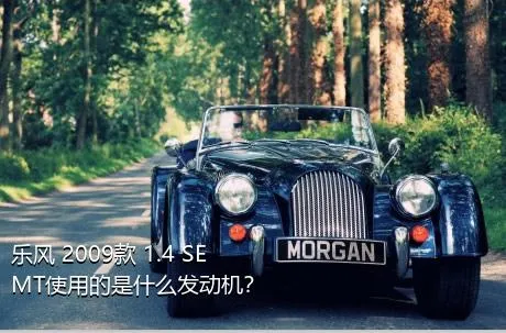 乐风 2009款 1.4 SE MT使用的是什么发动机？