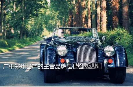 广中郑州日产的主营品牌是什么？