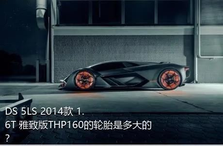 DS 5LS 2014款 1.6T 雅致版THP160的轮胎是多大的？