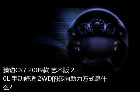 猎豹CS7 2009款 艺术版 2.0L 手动舒适 2WD的转向助力方式是什么？
