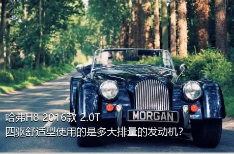 哈弗H8 2016款 2.0T 四驱舒适型使用的是多大排量的发动机？