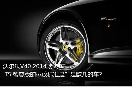 沃尔沃V40 2014款 2.0T T5 智尊版的排放标准是？是欧几的车？