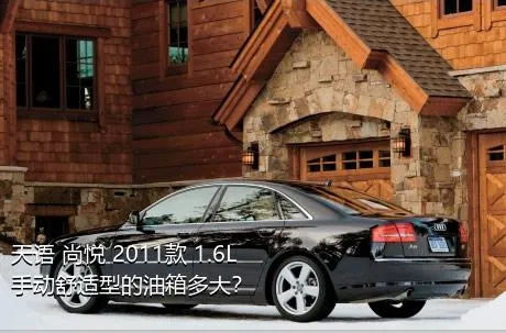 天语 尚悦 2011款 1.6L 手动舒适型的油箱多大？