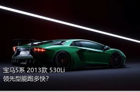 宝马5系 2013款 530Li 领先型能跑多快？