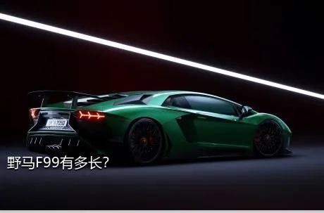 野马F99有多长？