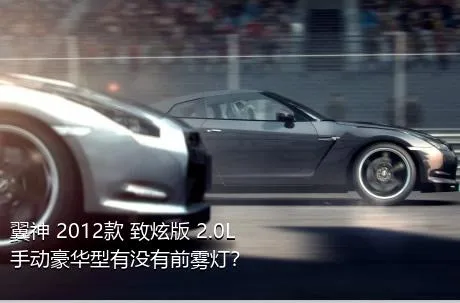 翼神 2012款 致炫版 2.0L 手动豪华型有没有前雾灯？