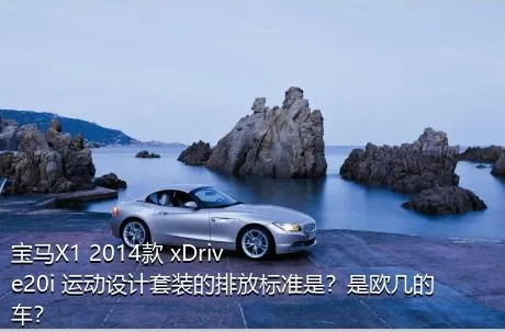 宝马X1 2014款 xDrive20i 运动设计套装的排放标准是？是欧几的车？
