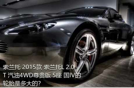 索兰托 2015款 索兰托L 2.0T 汽油4WD尊贵版 5座 国IV的轮胎是多大的？