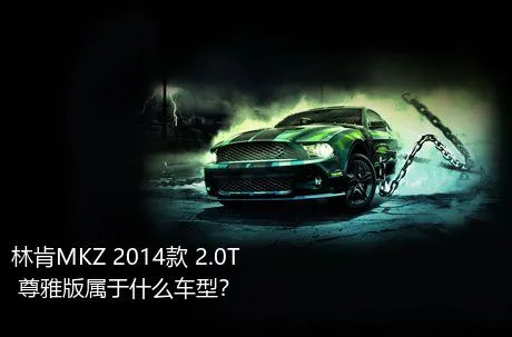林肯MKZ 2014款 2.0T 尊雅版属于什么车型？