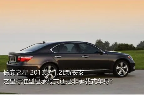 长安之星 2013款 1.2L新长安之星标准型是承载式还是非承载式车身？