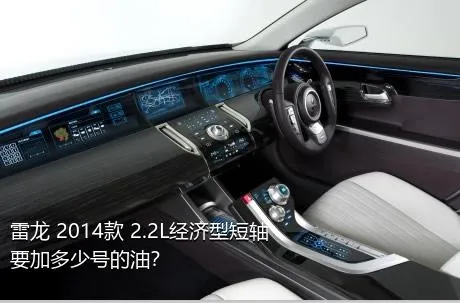 雷龙 2014款 2.2L经济型短轴要加多少号的油？