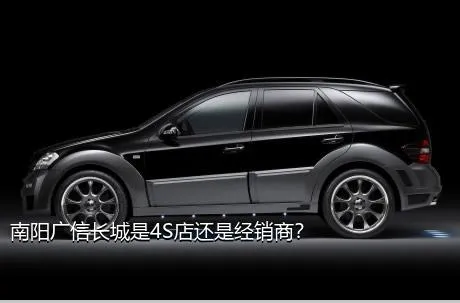南阳广信长城是4S店还是经销商？