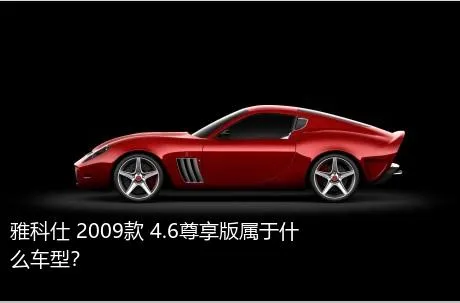 雅科仕 2009款 4.6尊享版属于什么车型？