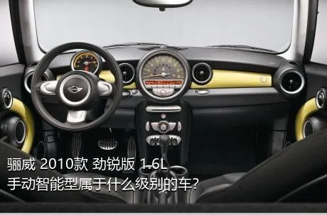 骊威 2010款 劲锐版 1.6L 手动智能型属于什么级别的车？