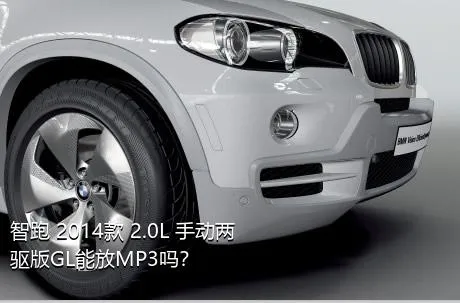 智跑 2014款 2.0L 手动两驱版GL能放MP3吗？
