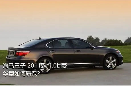 海马王子 2011款 1.0L 豪华型如何质保？