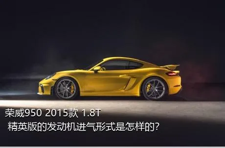 荣威950 2015款 1.8T 精英版的发动机进气形式是怎样的？