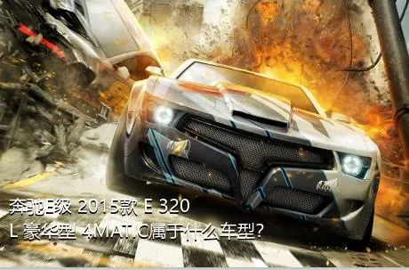 奔驰E级 2015款 E 320 L 豪华型 4MATIC属于什么车型？
