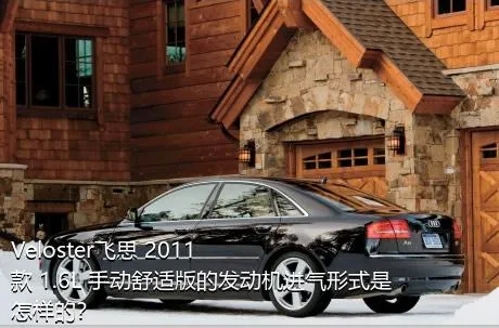 Veloster飞思 2011款 1.6L 手动舒适版的发动机进气形式是怎样的？