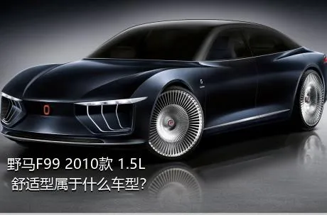 野马F99 2010款 1.5L 舒适型属于什么车型？