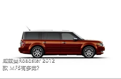 威兹曼Roadster 2012款 MF5有多宽？
