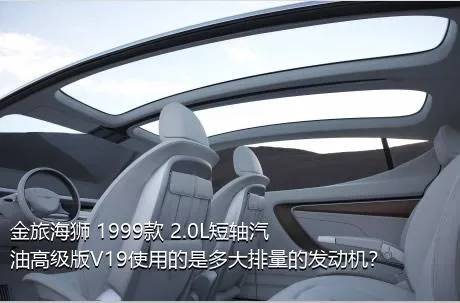 金旅海狮 1999款 2.0L短轴汽油高级版V19使用的是多大排量的发动机？