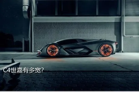 C4世嘉有多宽？