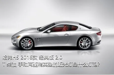 哈弗H5 2016款 经典版 2.0T 柴油 手动两驱精英型的近光灯是什么灯泡？
