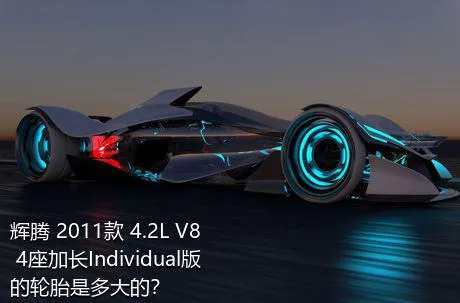 辉腾 2011款 4.2L V8 4座加长Individual版的轮胎是多大的？