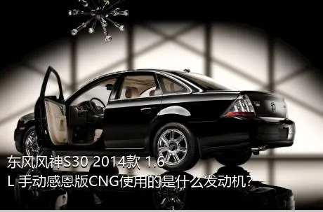 东风风神S30 2014款 1.6L 手动感恩版CNG使用的是什么发动机？