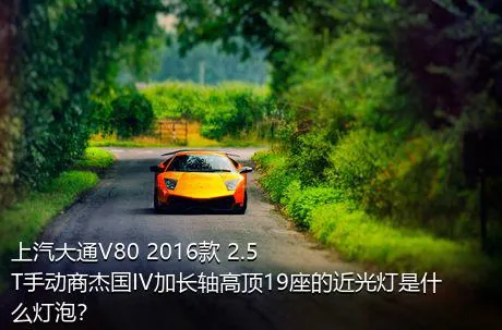 上汽大通V80 2016款 2.5T手动商杰国IV加长轴高顶19座的近光灯是什么灯泡？