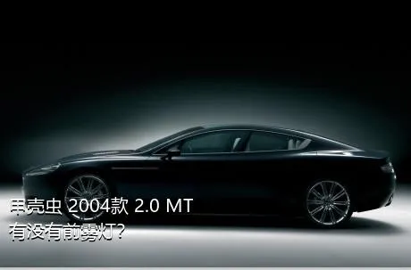 甲壳虫 2004款 2.0 MT有没有前雾灯？