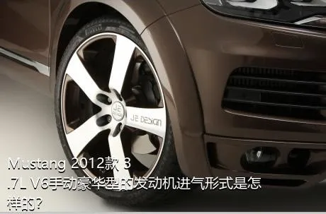 Mustang 2012款 3.7L V6手动豪华型的发动机进气形式是怎样的？