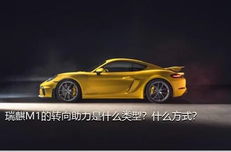 瑞麒M1的转向助力是什么类型？什么方式？