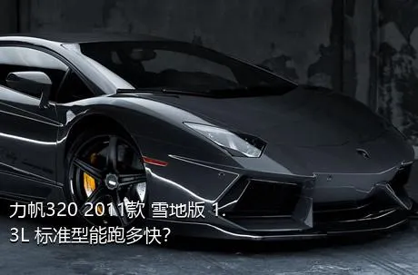 力帆320 2011款 雪地版 1.3L 标准型能跑多快？