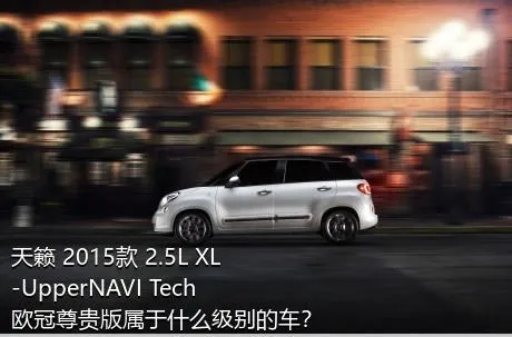 天籁 2015款 2.5L XL-UpperNAVI Tech欧冠尊贵版属于什么级别的车？