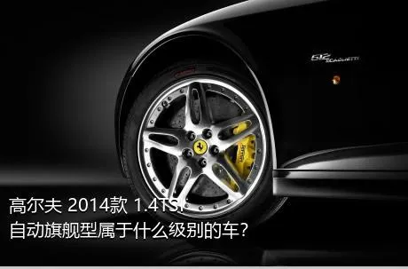 高尔夫 2014款 1.4TSI 自动旗舰型属于什么级别的车？