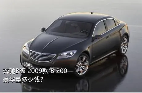 奔驰B级 2009款 B 200 豪华型多少钱？
