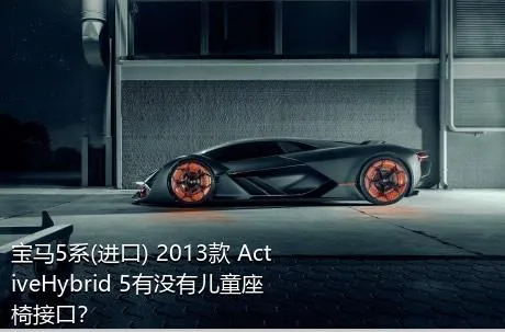 宝马5系(进口) 2013款 ActiveHybrid 5有没有儿童座椅接口？
