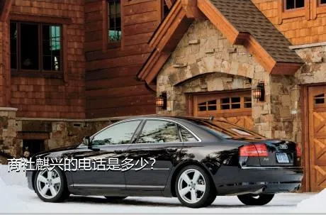 商社麒兴的电话是多少？