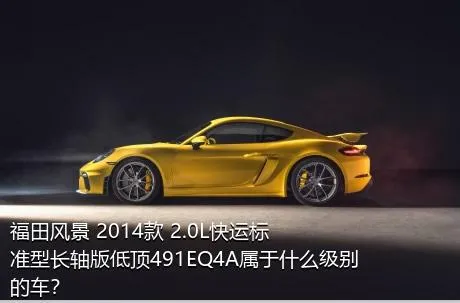 福田风景 2014款 2.0L快运标准型长轴版低顶491EQ4A属于什么级别的车？