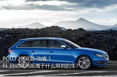 POLO 2007款 劲情 1.6L 自动风尚版属于什么级别的车？