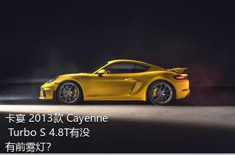 卡宴 2013款 Cayenne Turbo S 4.8T有没有前雾灯？