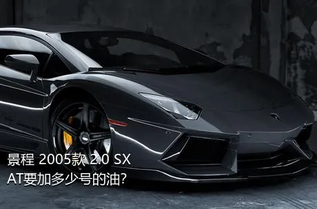 景程 2005款 2.0 SX AT要加多少号的油？
