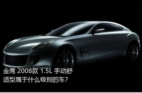 金鹰 2008款 1.5L 手动舒适型属于什么级别的车？
