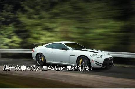 麒升众泰Z系列是4S店还是经销商？